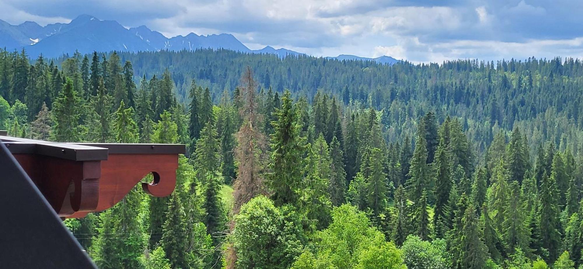 Jedla Miejsce Goscinne Bukowina Tatrzanska Bagian luar foto